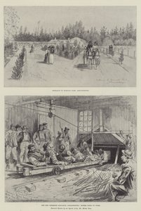 Sketches of South Africa 
